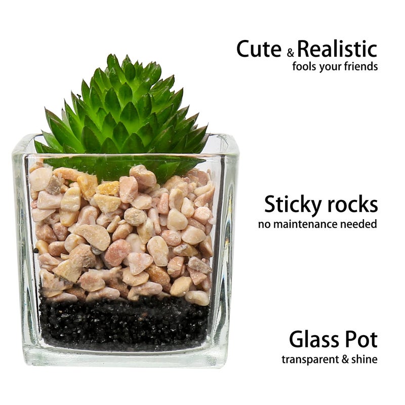 Briful Set of 3 Succulents Plants Artificial in Glass Pots Small Fake Succulents Plants Faux Plants Indoor for Home Office Table Desk Shelf Room Decor - Image 3